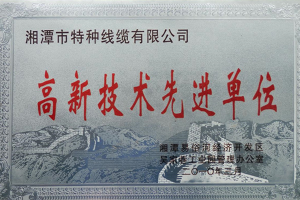 201003高新技術(shù)先進單位.jpg 201003高新技術(shù)先進單位.jpg